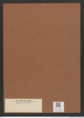 Diatomeae indet. (de-Toni-Nr.: Species 3030 ?) Zeichnungen Sammlung Grunow Mappe 03280 (Herbarium_W_Grunow_drawings_Folder_03280)